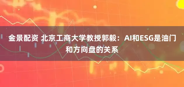 金景配资 北京工商大学教授郭毅：AI和ESG是油门和方向盘的关系