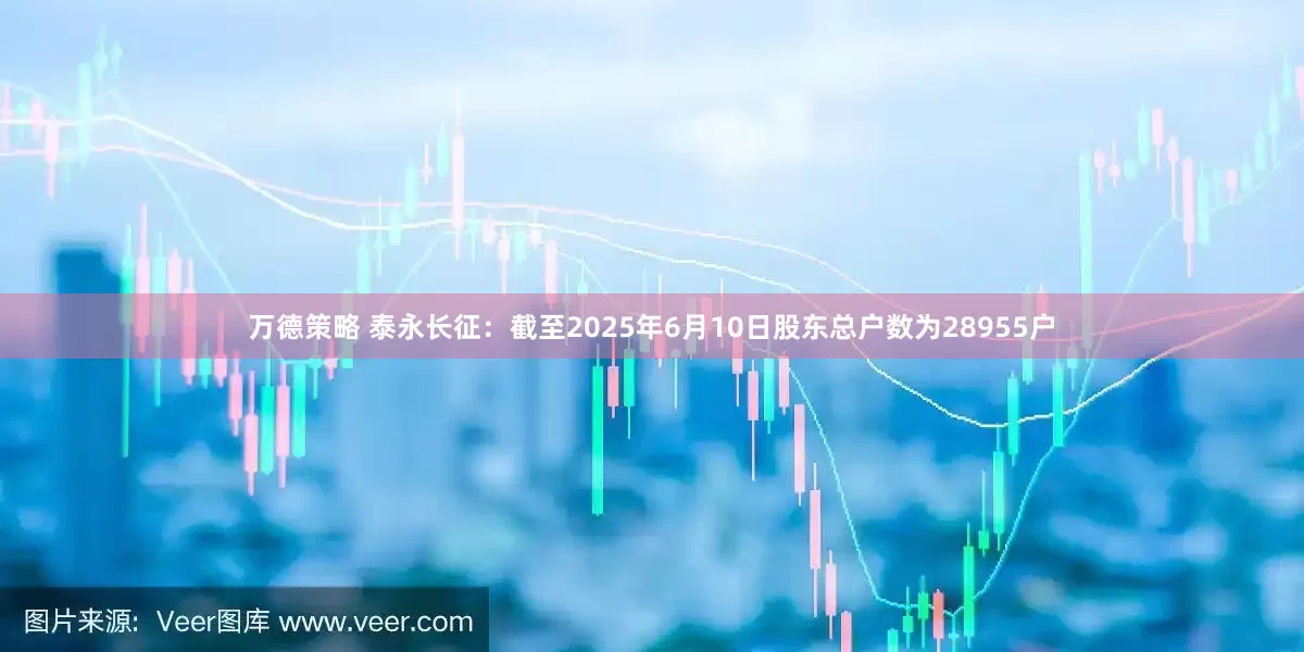 万德策略 泰永长征：截至2025年6月10日股东总户数为28955户