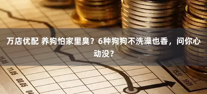 万店优配 养狗怕家里臭？6种狗狗不洗澡也香，问你心动没？