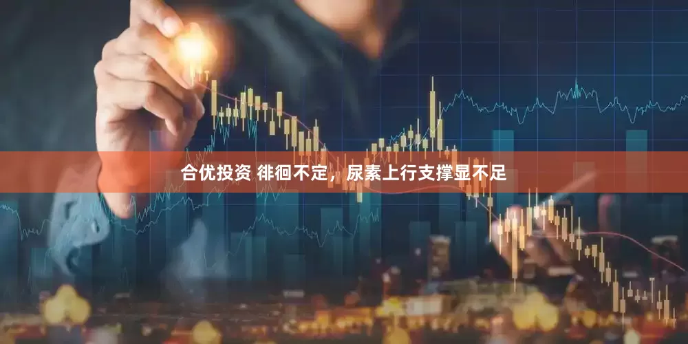 合优投资 徘徊不定，尿素上行支撑显不足