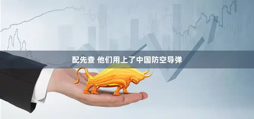 配先查 他们用上了中国防空导弹