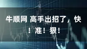 牛顺网 高手出招了，快！准！狠！